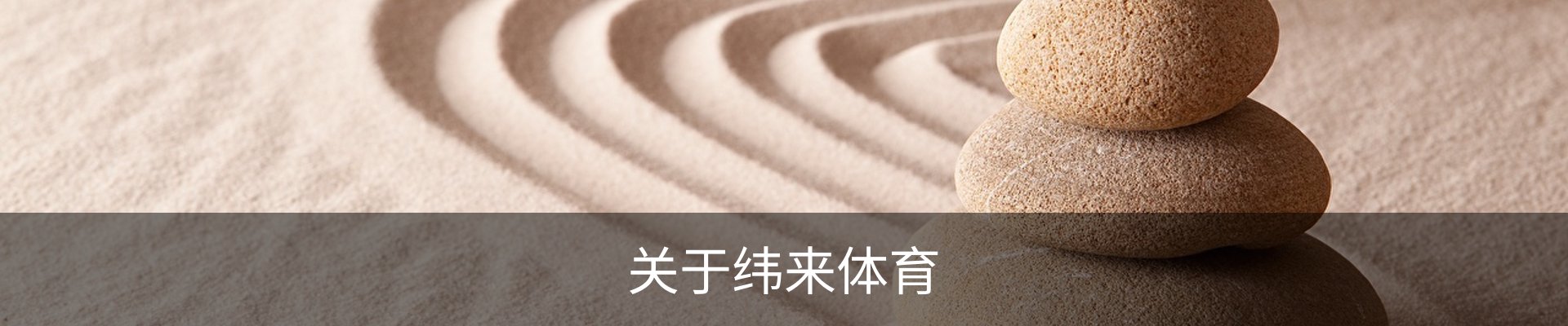 关于纬来体育
