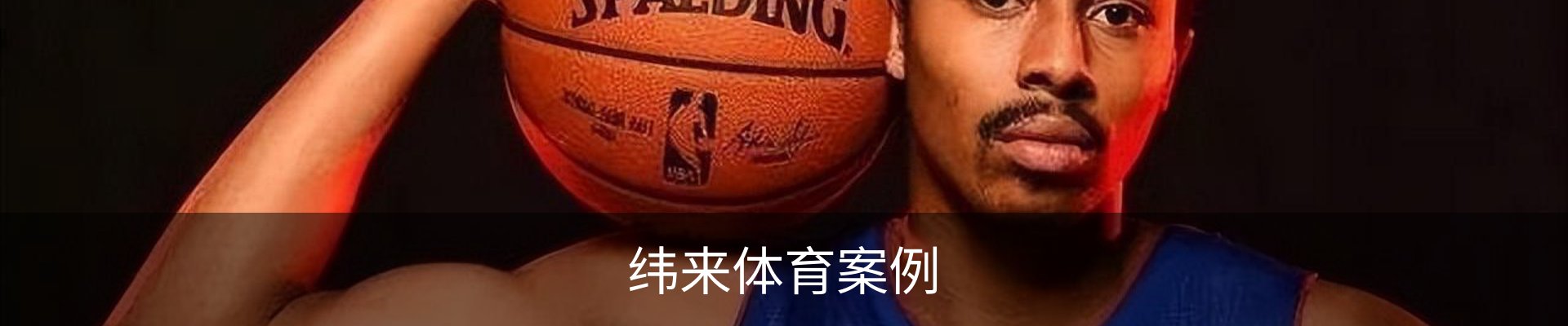 纬来体育案例